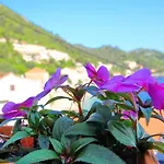 Mambo Apartment Sobra